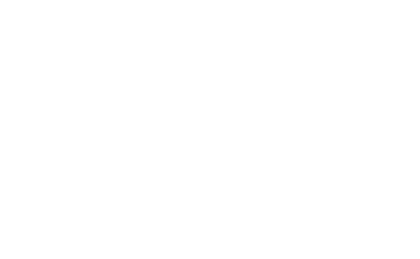 Карпатська джерельна